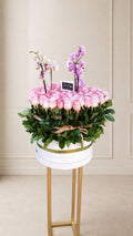 ORQUIDEA ANIVERSARIO