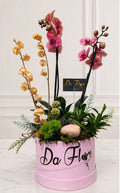 ORQUIDEA DELUXE