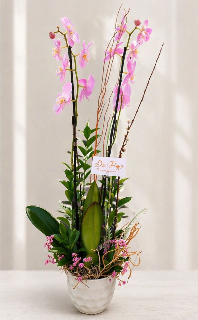 ORQUIDEA SENCILLA/ DOBLE
